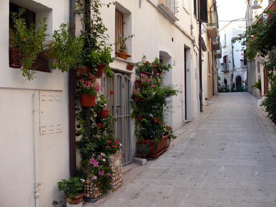 테르몰리 Residenza Borgo Antico 빌라 외부 사진